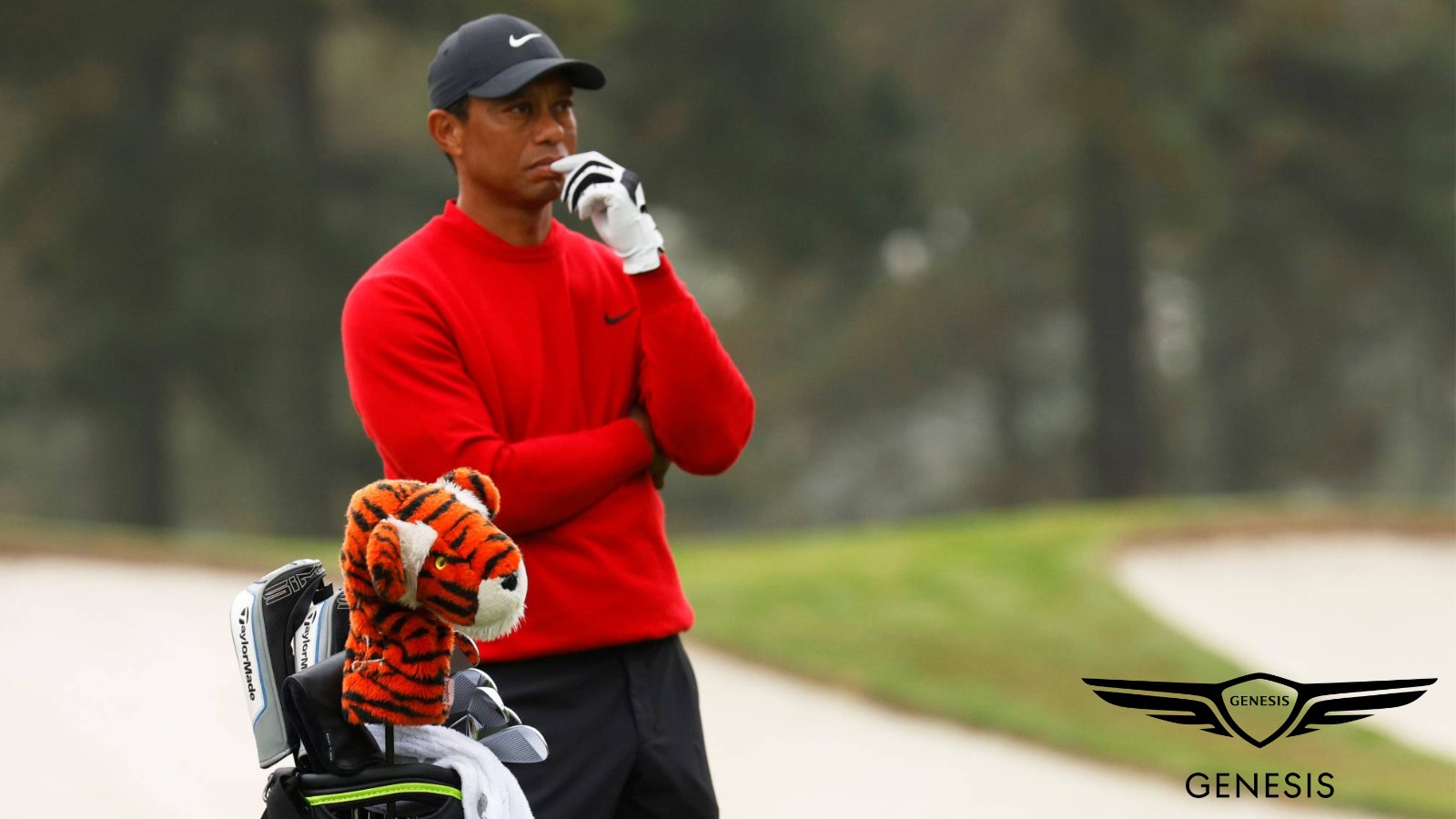 Tiger Woods Impresses